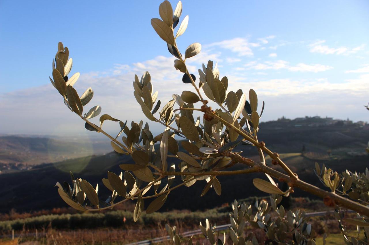 Podere Castagne Mezzane di Sotto Εξωτερικό φωτογραφία